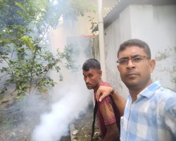 মশক নিধন