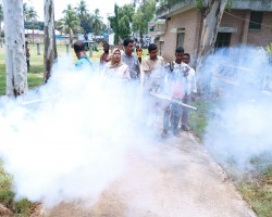 মশক নিধন