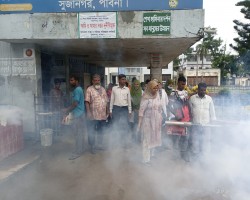 মশক নিধন