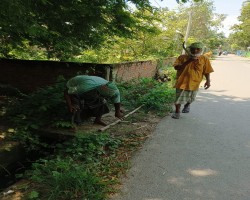 পরিষ্কার পরিচ্ছনতা অভিযান